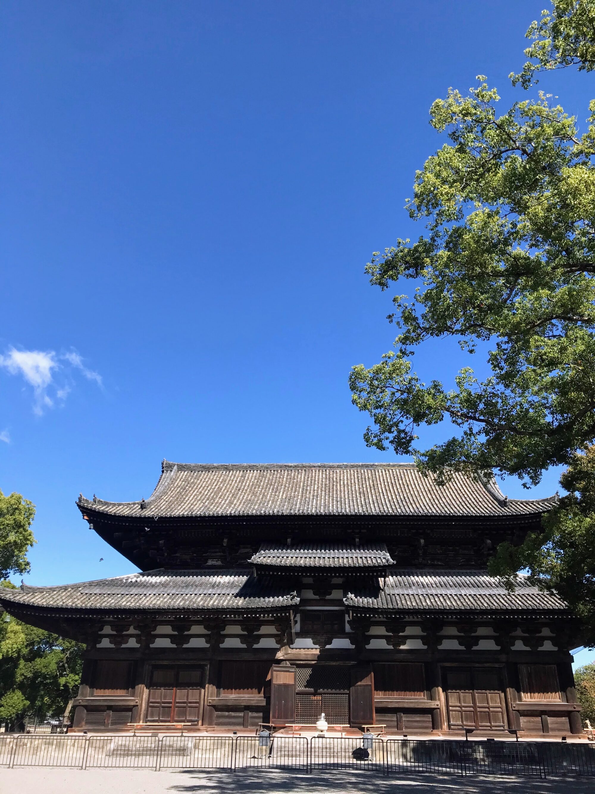 京都旅行3日目_観光_東寺