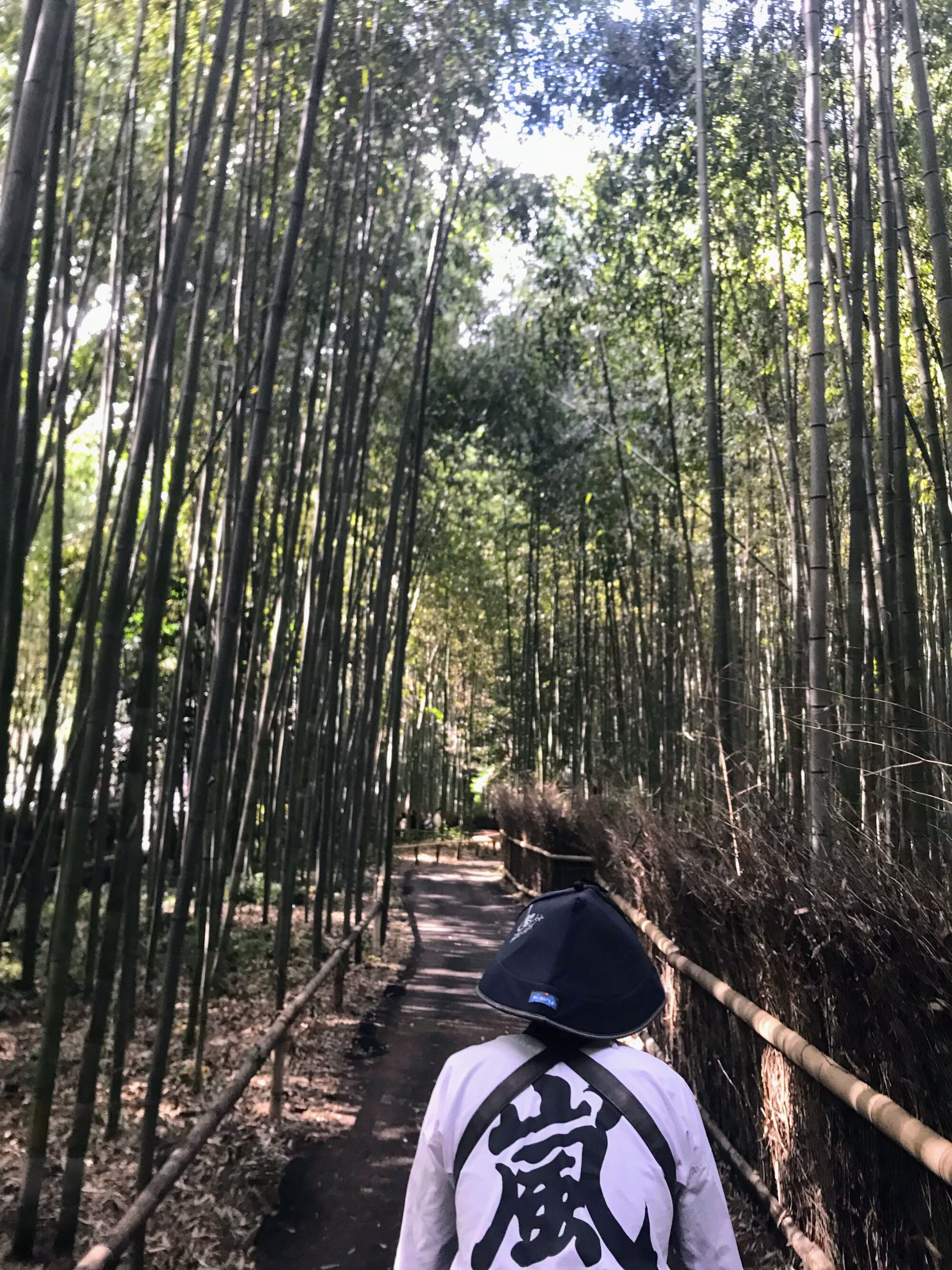 京都旅行2日目_観光_人力車_竹林観光